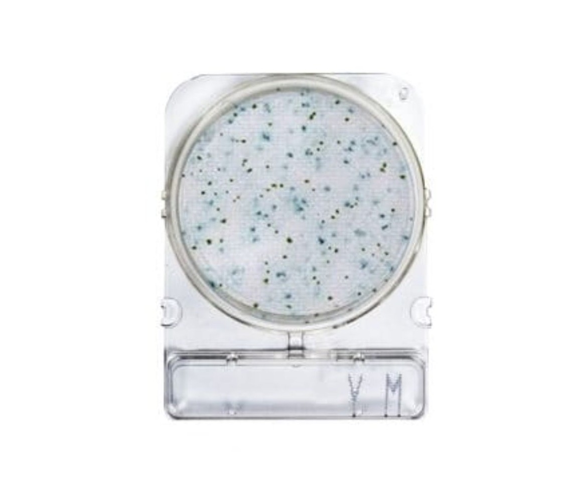 Compact Dry YM (moulds and yeasts) - Cf. 20 piastre